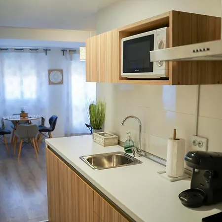 Cariatide 公寓 普拉森西亚